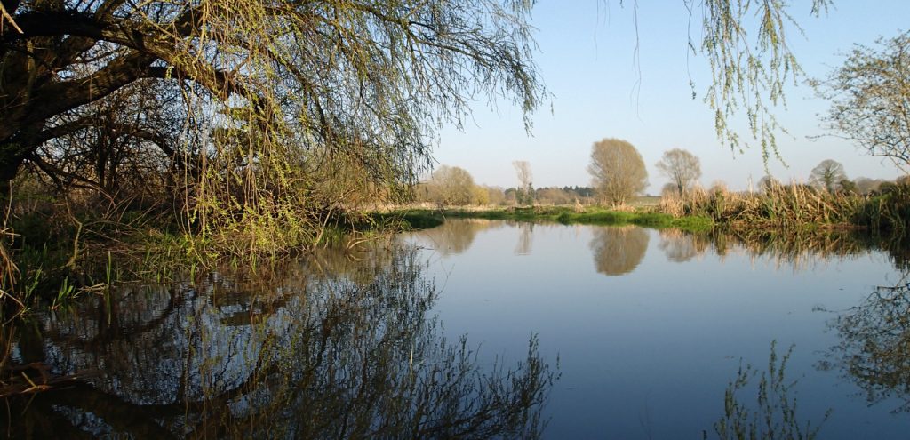 still river with reflected trees