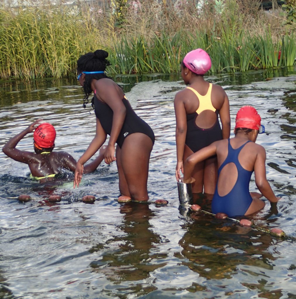 4 girls in water in swim costumes