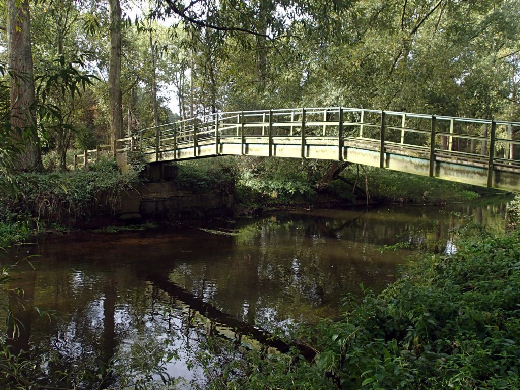 bridge, river, foliage