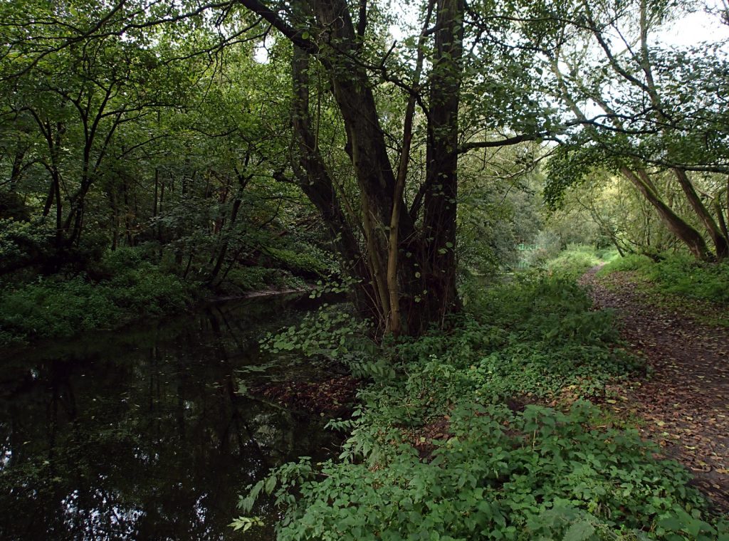 river, trees, distant view of lido footbridge