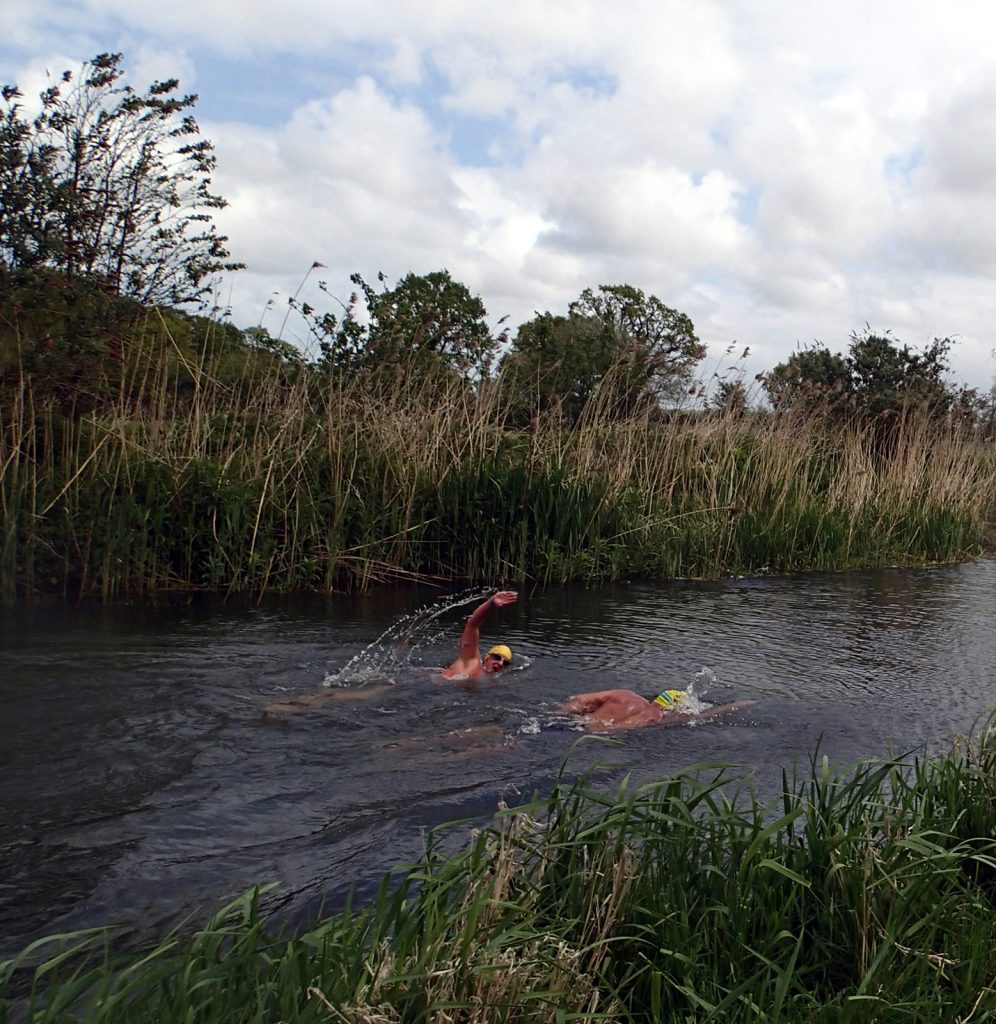 two swimmers doing crawl in a river