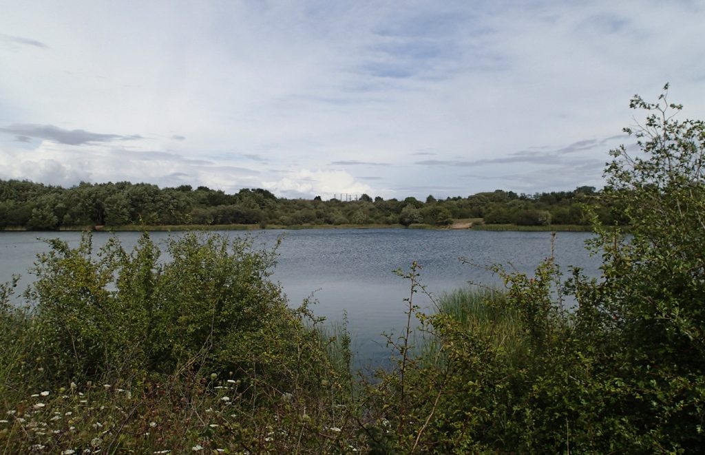 water and vegetation
