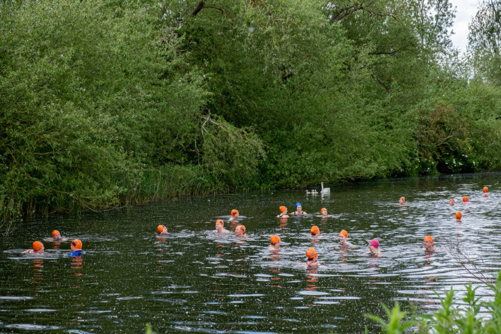 swimmers in river with swans