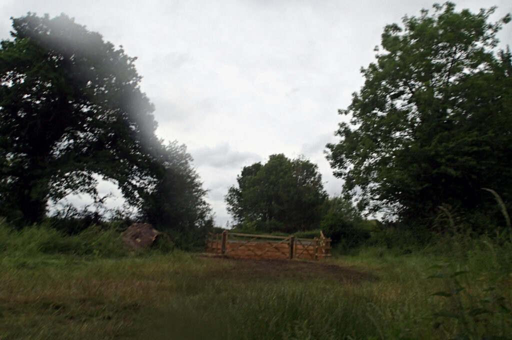 gate and meadow