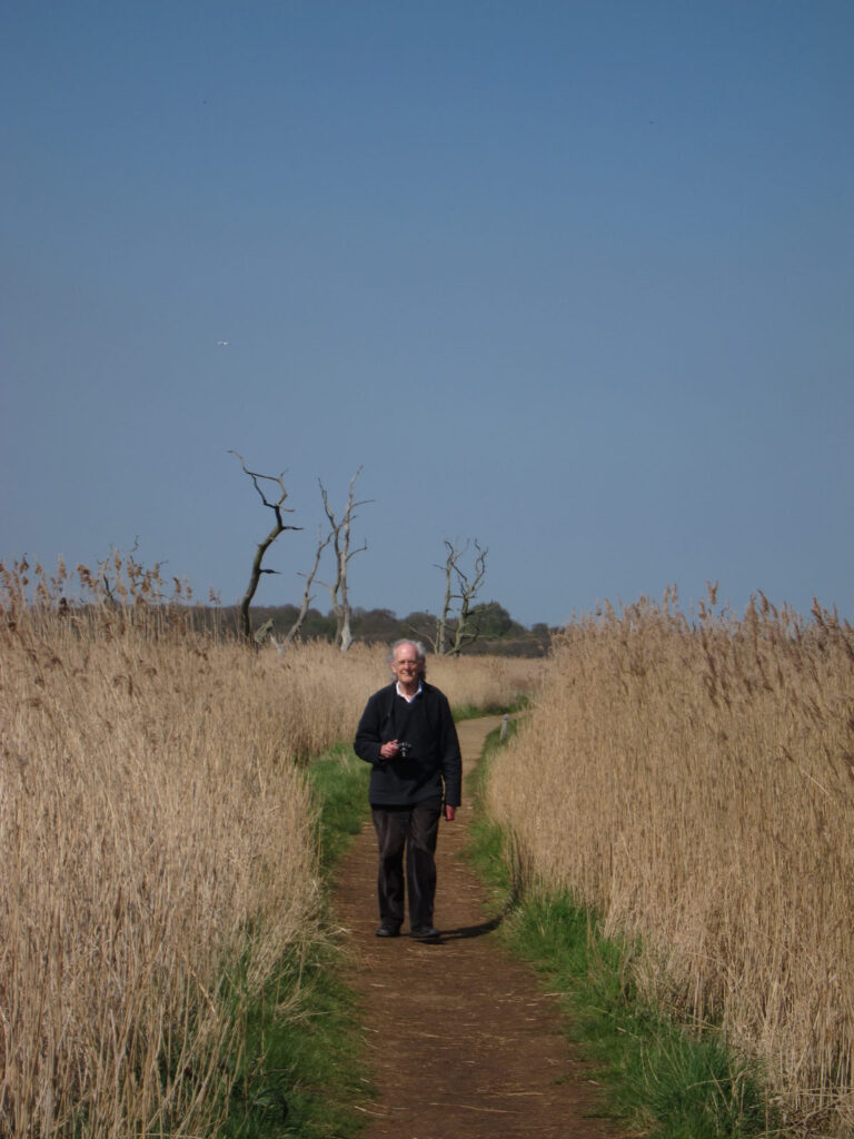 dad walking on board walk, reed beds either side, stag headed trees behind