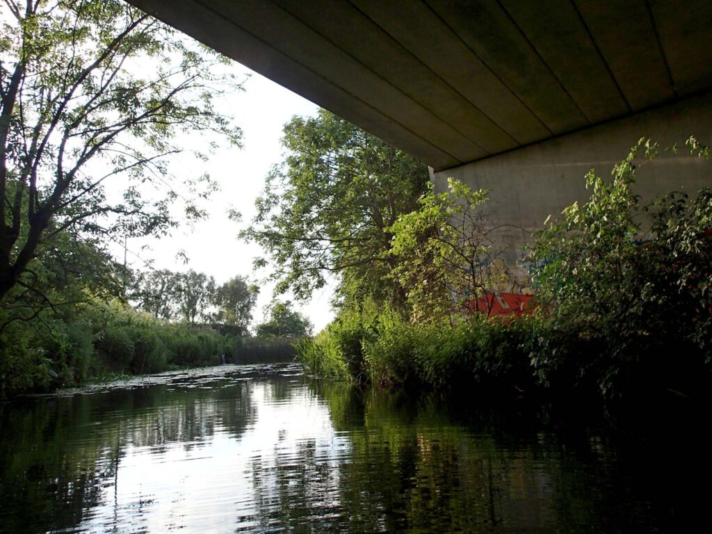river under a bridge with graffiti, trees reflected in the water on a sunny day