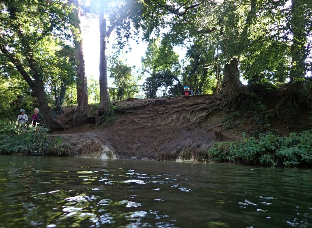 tree roots on a steep river bank, two cyclists standing on river side