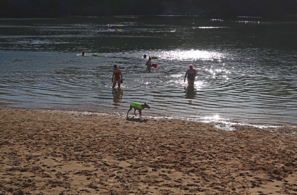 small group of swimmers and dog, reflected sunshine on water, beach