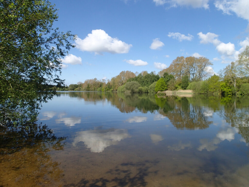 Lynford Water lakes and beaches, sandy beaches, calm shallow water at the edges. West Lake